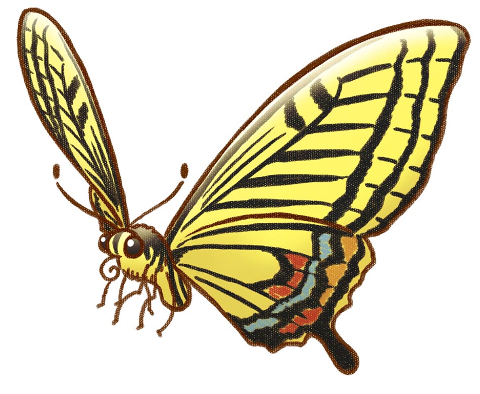 Yellow Butterfly Art from Harvest Moon: The Tale of Two Towns