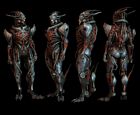 Marauder