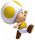 Yellow Toad