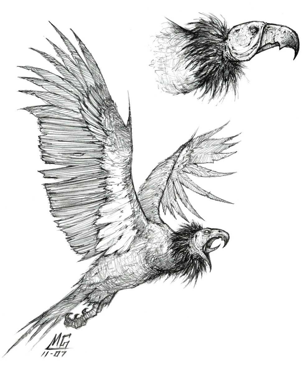 Arctic Condor Art from World of Warcraft: Wrath of the Lich King