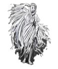 Siren