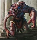 Argus