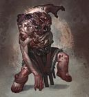 Argus