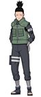Shikamaru Nara
