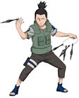 Shikamaru Nara