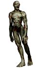 Naked Zombie