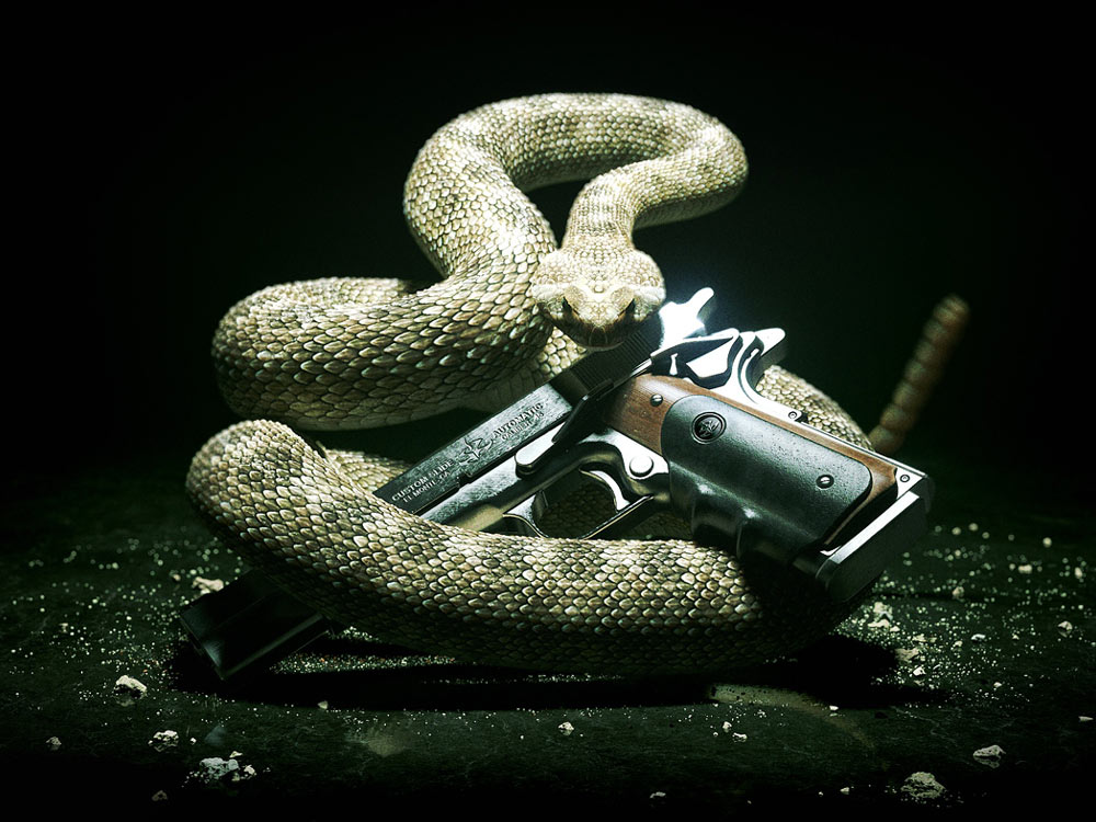 Rattlesnake & Silverballer Pistol Art from Hitman: Absolution