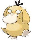Psyduck