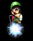 Luigi & Flashlight
