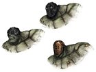 Orc Berserker Heads