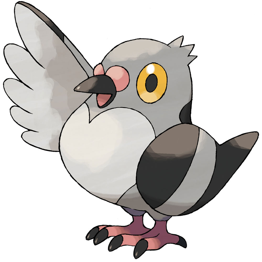 Pidove Art from Pok&eacute;mon Black and White
