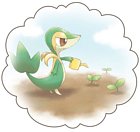 Snivy Berry Farm Dream
