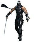 Ryu Hayabusa