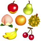 Fruit