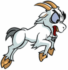 Mountain Goat