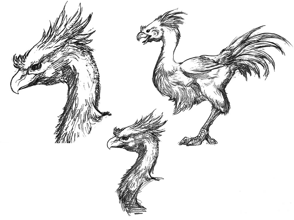 Chocobo Sketch from Final Fantasy XV