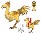 Chocobo