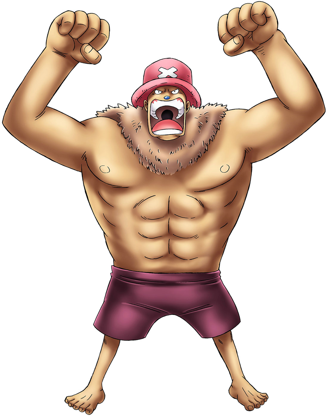 Chopper Art from One Piece: Romance Dawn