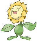 Sunflora