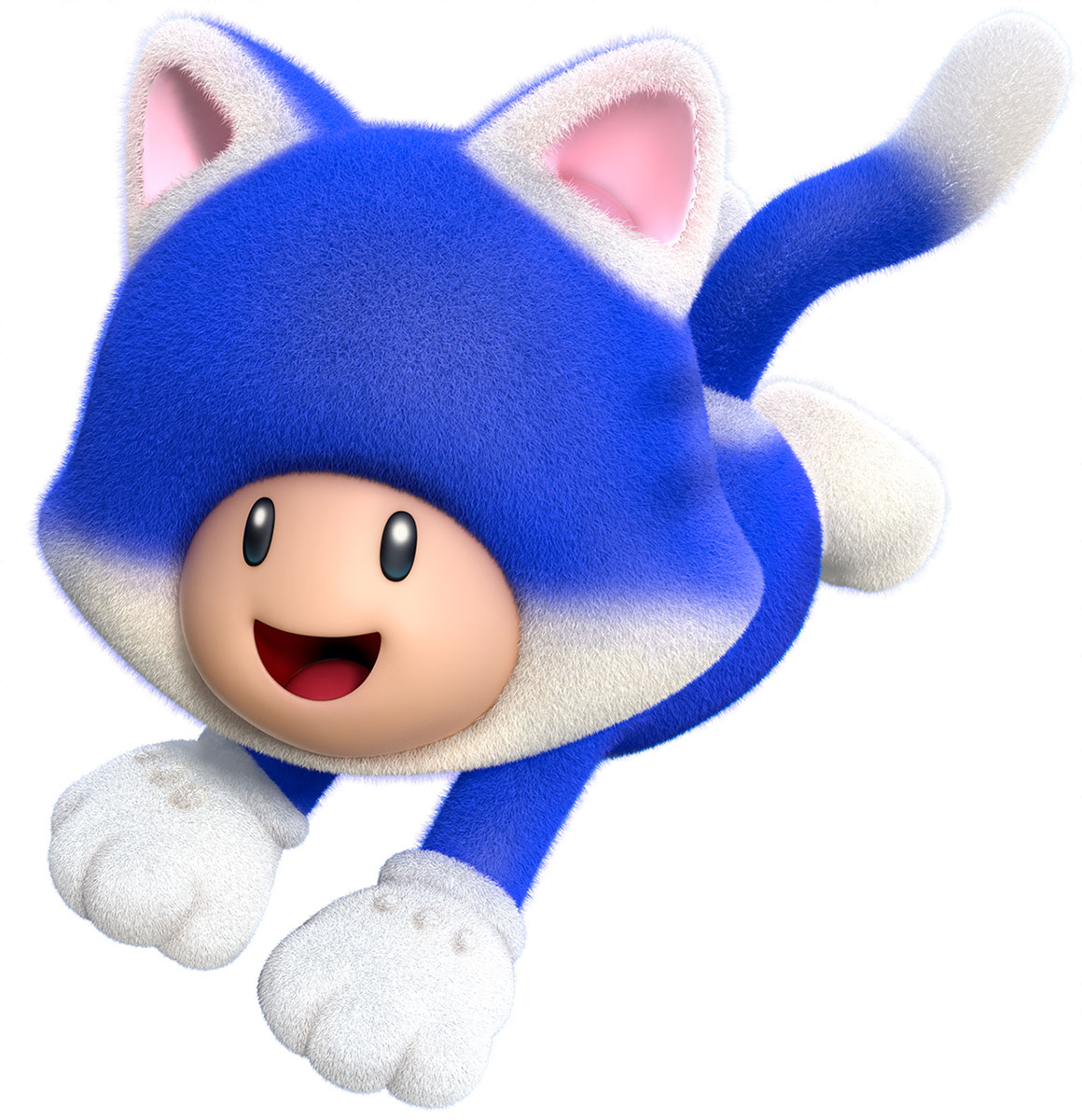 Cat Toad Art from Super Mario 3D World