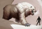 Bear Concept