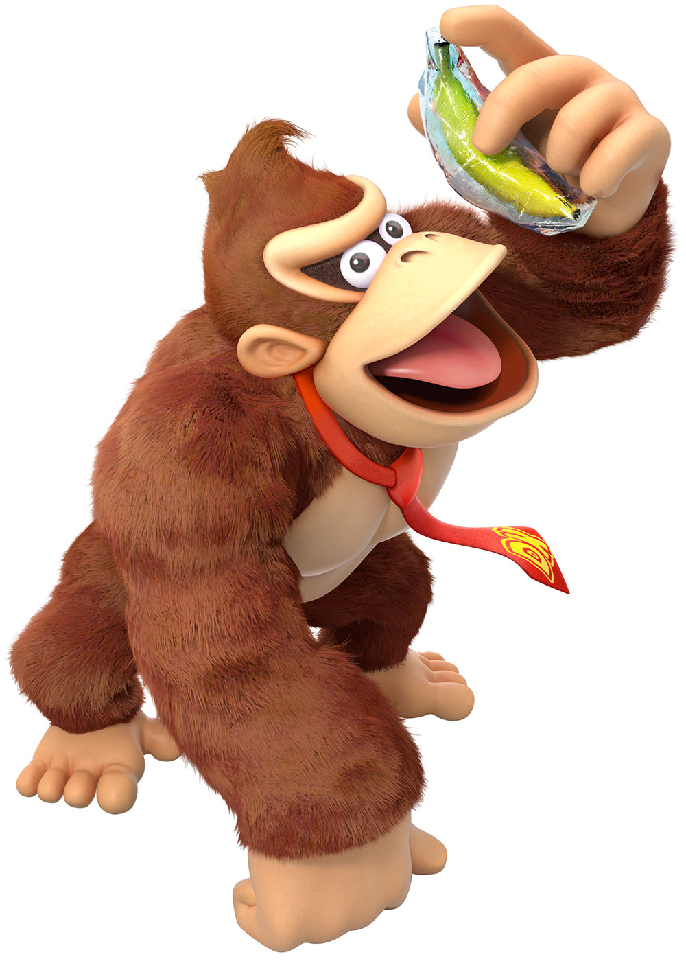 Donkey Kong Art from Donkey Kong Country: Tropical Freeze