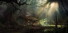 Swamp
