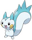 Pachirisu