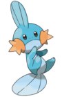 Mudkip