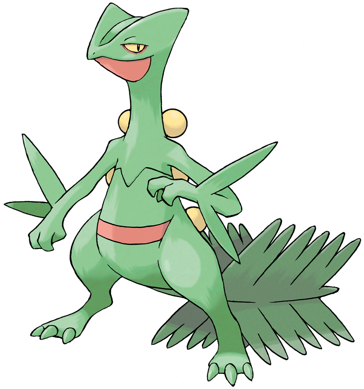Sceptile Art from Pokémon Omega Ruby and Alpha Sapphire