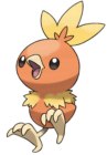 Torchic