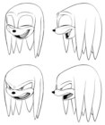 Knuckles Expressions