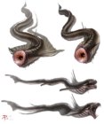 Eel