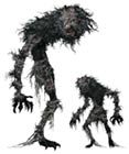 Beast Patient