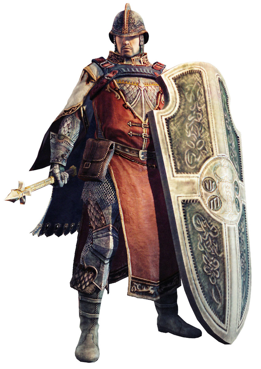 Shield Sage Art from Dragon's Dogma Online