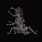 Cage Spider