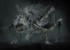 Deep Accursed