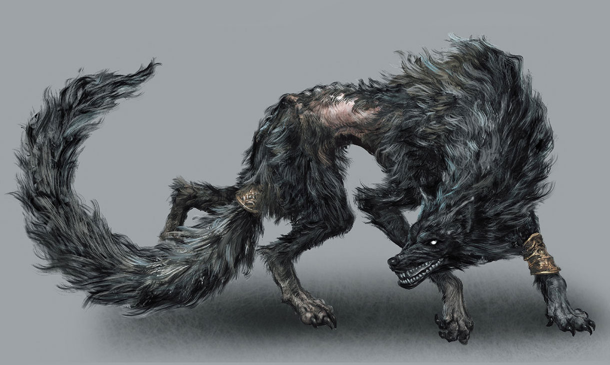 Old Wolf of Farron Art from Dark Souls III