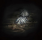 Sewer Centipede