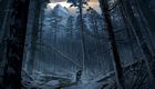 Bear Valley