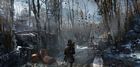 Siberian Wilderness