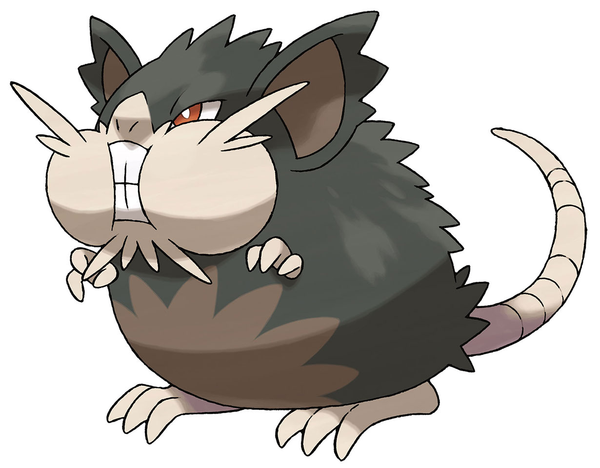 Alolan Raticate Art from Pokémon Sun and Moon