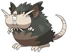 Alolan Raticate