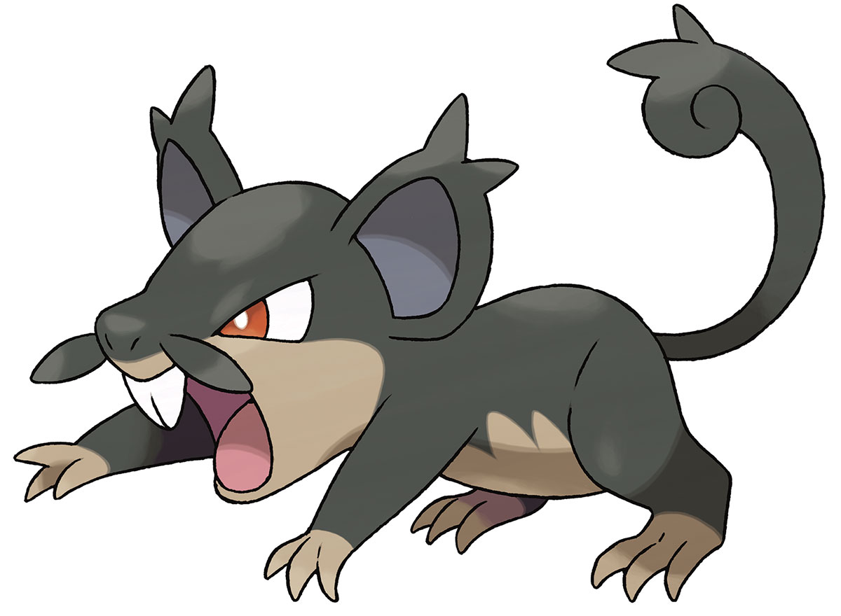 Alolan Rattata Art from Pokémon Sun and Moon