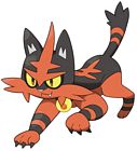 Torracat