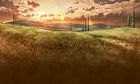 Sunset & Landscape