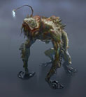Angler