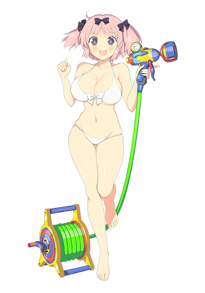 Hibari Character Art from Senran Kagura: Peach Beach Splash