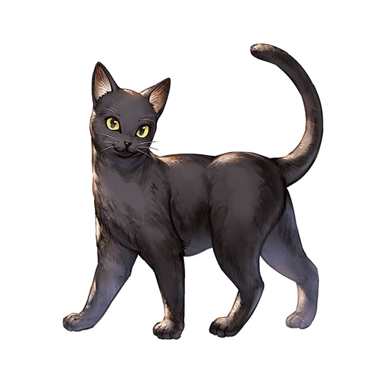 Young Cat (Black with Golden Eyes) Art from Granblue Fantasy