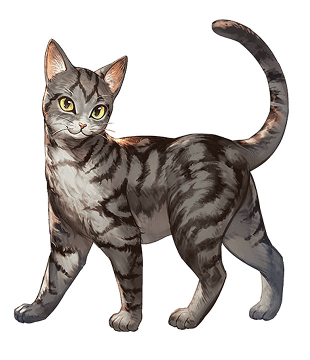 Young Cat Art from Granblue Fantasy
